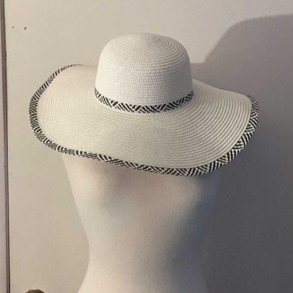 Sleek  Hat Accessory